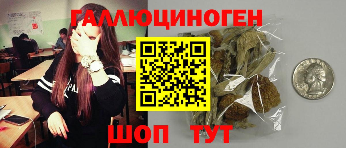 Галлюциногенные грибы GOLDEN TEACHER  Вход с VPN  Псилоцибиновые грибы ЛСД  Советский 