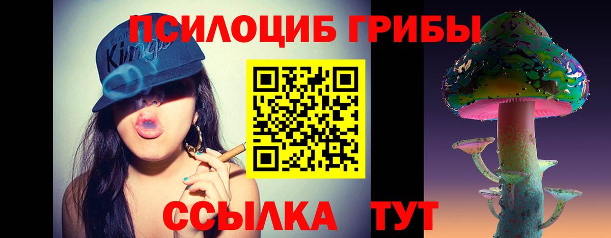 Псилоцибиновые грибы Psilocybe Советский