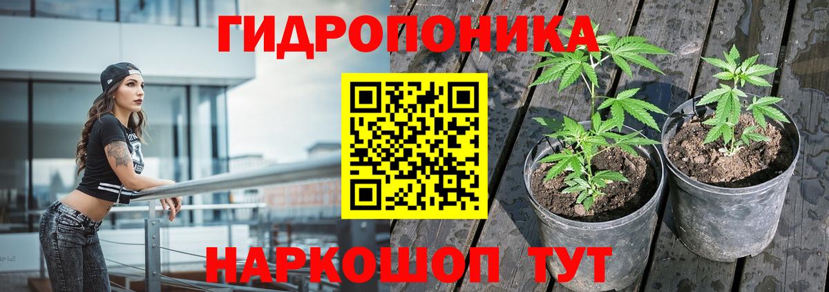 Советский  Конопля тримм  Вход с VPN  Каннабис планчик  Канабис конопля 